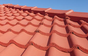Skinidin tile and slate roof replacement