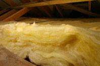 Skinidin pitch roof insulation