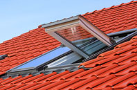 Skinidin roof window