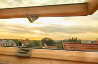 rated Skinidin roof window companies